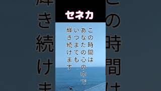 「物より思い出を欲しがりましょう」 セネカ