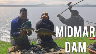 Mdimar Dam Produced Quantity - Carp Fishing | Superfish SA