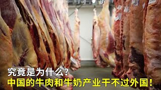 中国的牛肉和牛奶产业干不过外国，究竟是为什么？