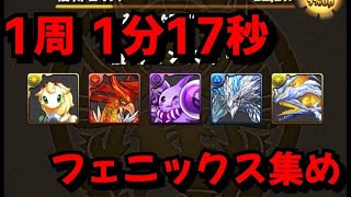 【パズドラ】白鯨降臨でフェニックス集め。1周1分17秒【レイランバード】