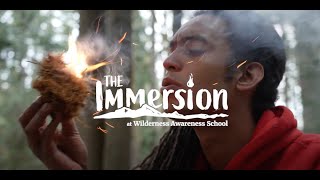 The Immersion at a Glance