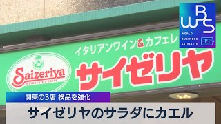 サイゼリヤのサラダにカエル 関東の3店 検品を強化【WBS】（2023年11月3日）