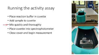 LDH lab: week 4 prelab (Activity assay)