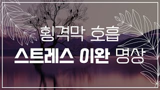 횡격막 호흡을 통한 스트레스 이완 명상 🧘🏻‍♀️