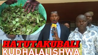 Wafanyibiashara WA Miraa na muguka Mombasa na kwale walalamikia kunyanyashwa Kwa Ushuru na county