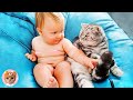 Adorable Baby Playing With Precious Cat  || Pet Galaxy