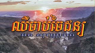 ឈឺចាប់ចៃដន្យ (ឆន សុវណ្ណរាជ), Lyrics Karaoke