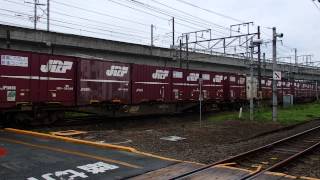 EH500形電気機関車牽引高速貨物 東福島～福島 Tohoku Main Line Freight Train