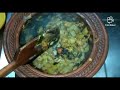 ridge gourd with egg fry பீர்க்கங்கா முட்டை பொறியல் minutes samyal