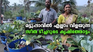 മട്ടുപ്പാവിലും മുറ്റത്തും , സീത ടീച്ചറുടെ സൂപ്പർ കൃഷിത്തോട്ടം I Terrace Farming ,Seetha teacher