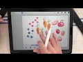 【新手的ipad畫畫課】用procreate 幫你的手繪小圖去背