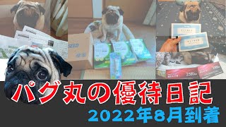 8月到着優待　ツルハ　ハニーズ　シード　サカタのタネ　などなど