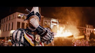 Aalst Carnaval 2024 | Documentaire 'Oilsjt op zèn best'
