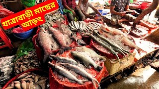 যাত্রাবাড়ী মাছের আড়ৎ 🐟 Jatrabari Fish Market 2025 যাত্রাবাড়ী মাছের বাজার খুচরা ও পাইকারি