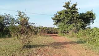 1 acre 17 gunte land for sale near Mysore 10 km bannur road 9611154959