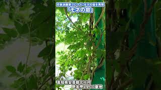 ここに行っときゃ間違いない‼︎高知県の観光スポット5選‼︎ディープで王道なな絶景観光スポット紹介!!