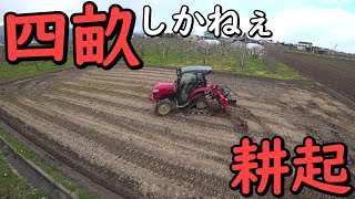 YANMAR 四畝の田んぼを耕起する！トラクター　YT３３８