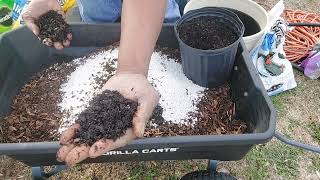 How To Make 511 Citrus Potting Soil (Recipe)Best Citrus Soil Mix!