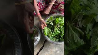 இதெல்லாம் கீரையா? யாரும் சாப்பிடாத கீரை கூட்டு! #spinach #keerai