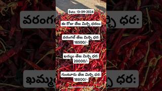 🌶️Teja mirchi rates in Warangal, Khammam \u0026 Guntur markets#gunturmirchirate #khammammirchimarket #etv