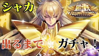 【聖闘士星矢ライジングコスモ】シャカ実装！こいつは引きたい！出るまでガチャ！無課金者が引けるのか？