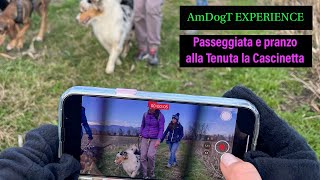 Passeggiata e pranzo alla Tenuta la Cascinetta, AmDogT EXPERIENCE