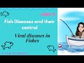 Viral diseases in Fishes : Fish Diseases & their Treatment |Part-6| B.Sc M.Sc Zoology Aquaculture