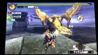 【MH4G】リオレイア希少種、ガンランス、