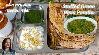 perfect Green Peas paratha Recipe | લીલા વટાણાનો મસાલો ભરેલા પરાઠા | Stuffed Matar paratha