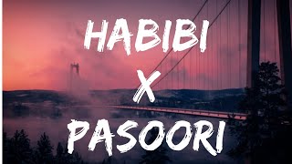 Habibi x Pasoori [Albanian  lyrics ] SAY3M mashup | trending song