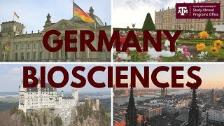 Texas A&M Germany Biosciences Faculty-Led Program // Lexi Smith