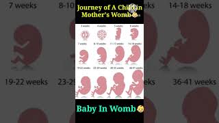 0 to 9 month pregnancy baby development | pregnancy | baby boy | baby girl | pregnancy week by week