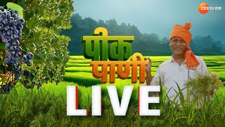 Peek Pani LIVE | राज्यभरातील कृषी क्षेत्रातील बातम्या पाहा फक्त पीक पाणी या कार्यक्रमात | Zee24Taas