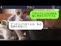 【line】事故で入院した夫にベタ惚れの女から略奪連絡「子供できずに離婚は同情ｗ」⇒大企業勤めの旦那を狙う勘違い略奪女にある復讐をしてやった末路がwww