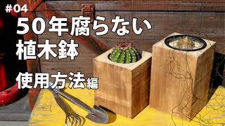 【木製なのに】50年腐らない植木鉢【使い方編】