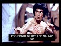 biza vs bruce lee biza dobio batine opasna borba