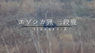 シーズン7#11 意外と大きかった三段鹿【Hokkaido Sika Deer Hunting/エゾシカ猟】