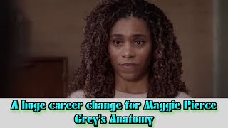 A huge career change for Maggie Pierce - Grey's Anatomy