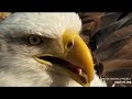 Decorah North Nest 3-5-21, DNF closeups