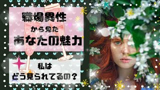 🎀タロット,タロット占い,魅力タロット,タロット魅力【職場異性からみたあなたの魅力。私はどうみられている？】タロット占い相手の気持ち,複雑恋愛タロット,片思いタロット,復縁タロット,因果応報タロット