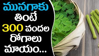 Moringa cures 300 diseases | మునగాకు తింటే ౩౦౦ రోగాలు మాయం | Ravikiranalu TV