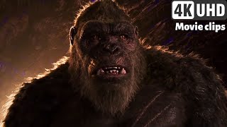 Godzilla vs. Kong (2021) - King Kong Scene #5 | MovieClips