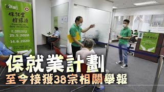 【on.cc東網】保就業計劃接獲38宗舉報　已抽查160名僱主或機構