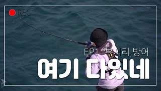 EP1.부시리,방어 여기 다있네(#쇼어플러깅 #shoreplugging #쇼어지깅 #shorejigging  #오륙도 #오륙도포인트정보 #56지기 #부시리 #방어 #루어낚시)