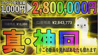 【※超神回】リスク1000円のみで「280万円」稼ぎました…！一部始終をノーカットでお届けします【この動画を見ればあなたにも可能】