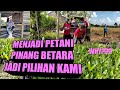 MENJADI PETANI PINANG BETARA