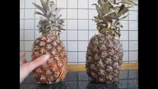 Das Pokern mit der Ananas - Wann ist sie reif?! Reife Ananas erkennen