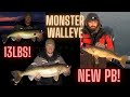 Casting & Jigging for Early Spring Walleye | How To | New PB