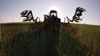 Allis chalmers 7060 with an 8 row Buffalo cultivator, in beans.