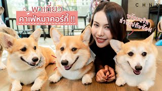 พาเที่ยวคาเฟ่หมาคอร์กี้!!  พร้อมทริคถ่ายรูปกับชิคๆ ! | Vlog